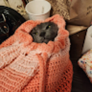 Meet your Posher, Ash